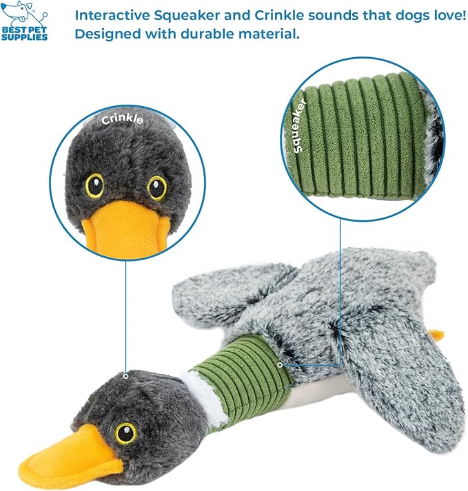 Best Pet Supplies Interactive Mallard Mates Dog Toy with Crinkle and Squeaky Enrichment for Small and Medium Breed Puppies or Dogs, Cute and Plush - Mallard Duck Wing (Gray), Small - PAWPICO