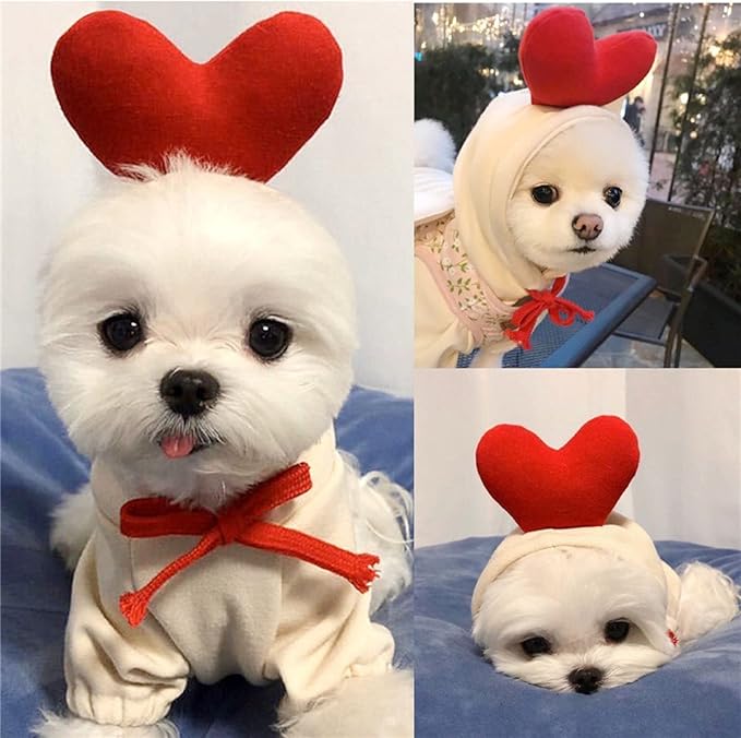 Warm Dog Winter Clothes Cute Fruit Dog Coat Hoodies Fleece Pet Dogs Costume Jacket for French Bulldog Chihuahua Ropa para Perro(White,XXL) - PAWPICO