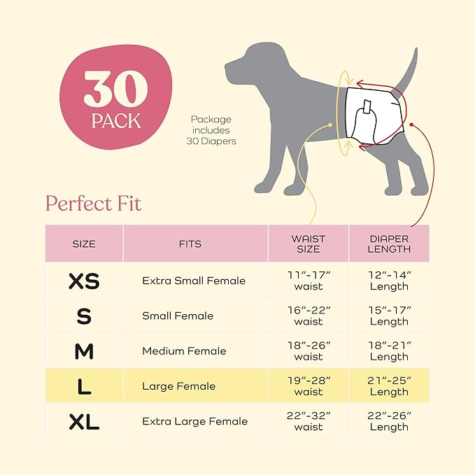 Comfortable Female Dog Diapers - 24-Pack Super Absorbent Disposable Doggie Diapers - FlashDry Gel Technology & Wetness Indicator - Leakproof Diapers for Dogs in Heat, Excitable Urination, Incontinence - PAWPICO