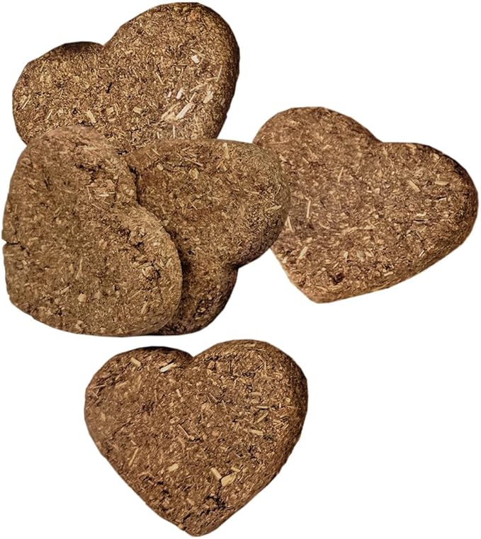 Oxbow Simple Rewards Baked Treats with Carrot, Dill, and Hay for Rabbits, Guinea Pigs, Chinchillas, and Small Pets, 3 Ounce (Pack of 1) OxbowAnimalHealth