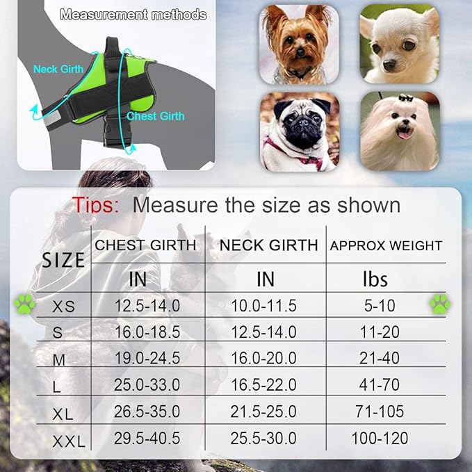 Bolux Dog Harness, No-Pull Reflective Dog Vest, Breathable Adjustable Pet Harness with Handle for Outdoor Walking - No More Pulling, Tugging or Choking (Green, XS) Bolux
