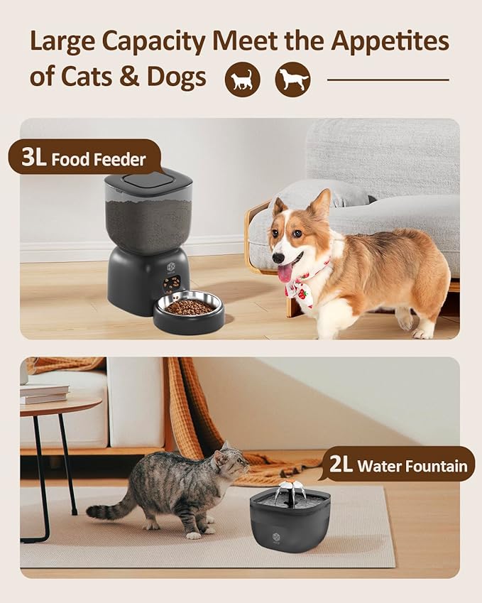 Automatic Cat Feeder and Water Dispenser Set with Pet Food Bowl Timer, Dual Power Supply, Programmable Portion Size, Auto Pet Feeder for Cats and Small Dogs, Voice Recorder, Black - PAWPICO