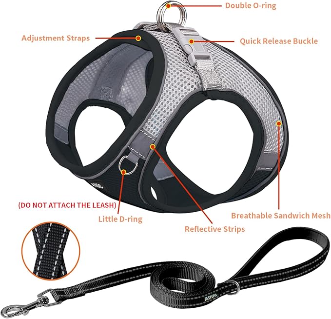 AIITLE Dog Harness, Spring No-Pull Cat Harness with a Leash, Adjustable Reflective Dog Vest, Cat Harness Escape Proof, Outdoor Walking, Camping for Extra Small Dogs and House Cats Black XXXS AIITLE-FORPETSBETTERLIFE