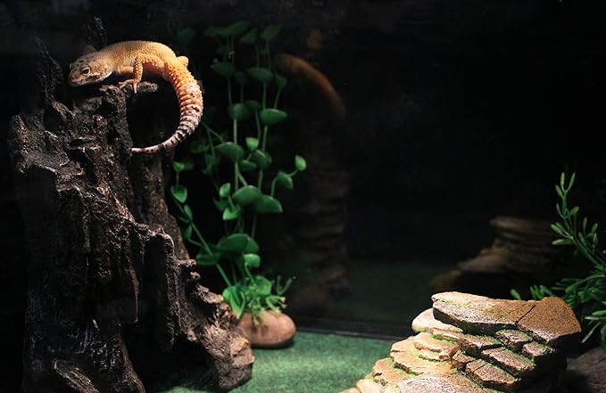 Penn-Plax Reptology Shale Step Ledge Cave Hideout - Aquarium & Terrarium Decoration - for Fish, Reptiles, Amphibians, and Small Animals - Large 2 (REP189) Penn-Plax