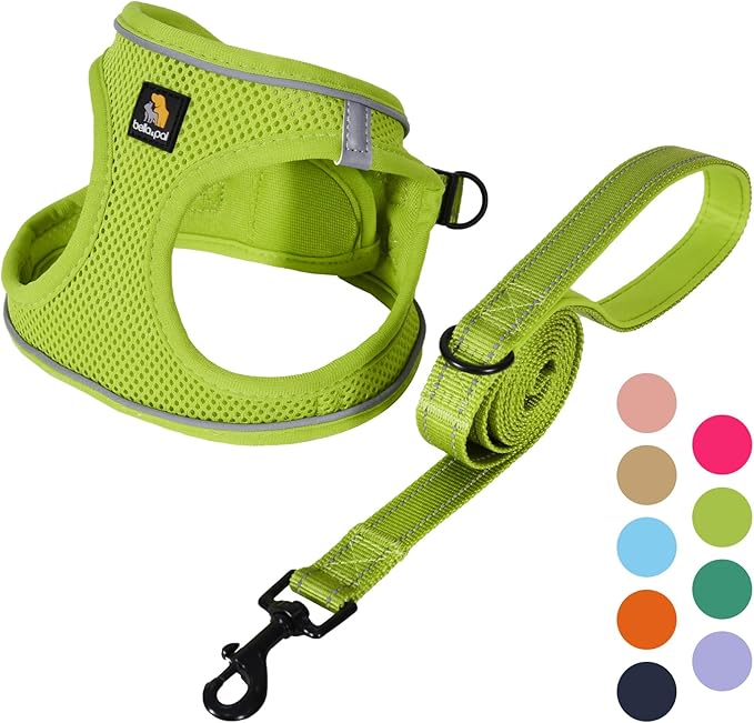 BELLA & PAL Puppy Harness with Leash Set, Dog Harness for Small Dogs No Pull, Dog Leash for Small Dogs, Step in Harness for Extra Small Dogs, Avocado Green Harness, L BELLAPAL