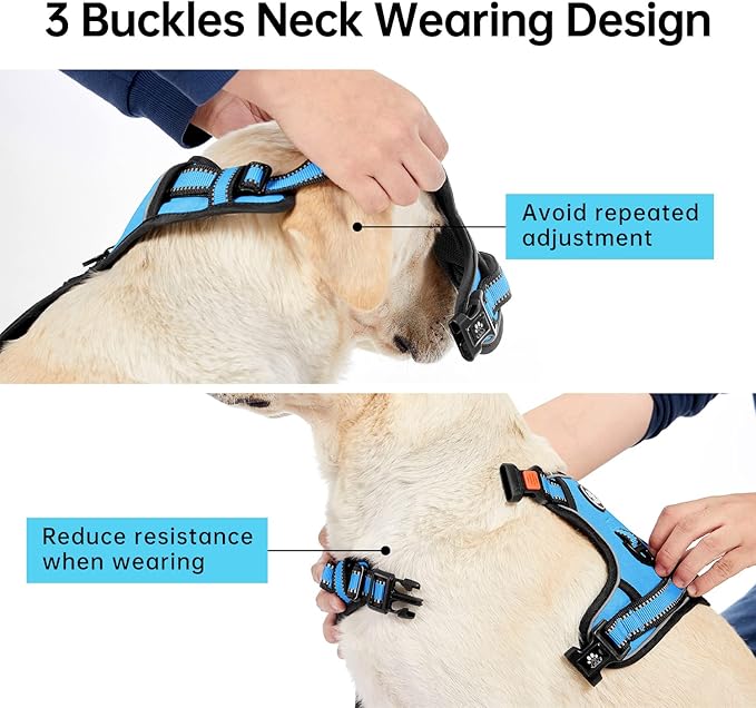 IVY&LANE No Pull Dog Harness for Large Dogs, Dog Vest Harness with Leash, Safety Belt and Storage Strap, Fully Adjustable Harness, 360° Reflective Strip, Soft Handle (Blue,XL) IVYLANE
