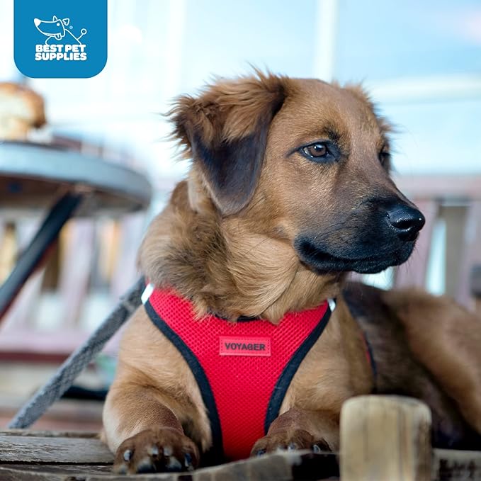 Voyager Step-In Air Dog Harness - All Weather Mesh, Reflective, No Pull Harness for Small, Medium Dogs, Cats - Secure with Hook & Loop Fastener, Buckle, Double D-Rings - Red/Black Trim, XXS BestPetSuppliesLLC