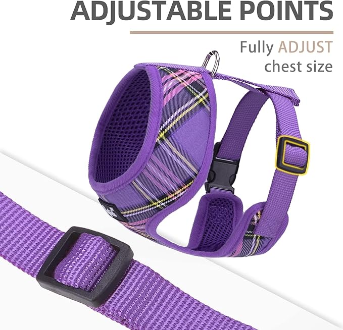 PUPTECK Soft Mesh Dog Harness and Leash Set Pet Puppy Cat Comfort Padded Vest No Pull Harnesses, Purple, M PUPTECK