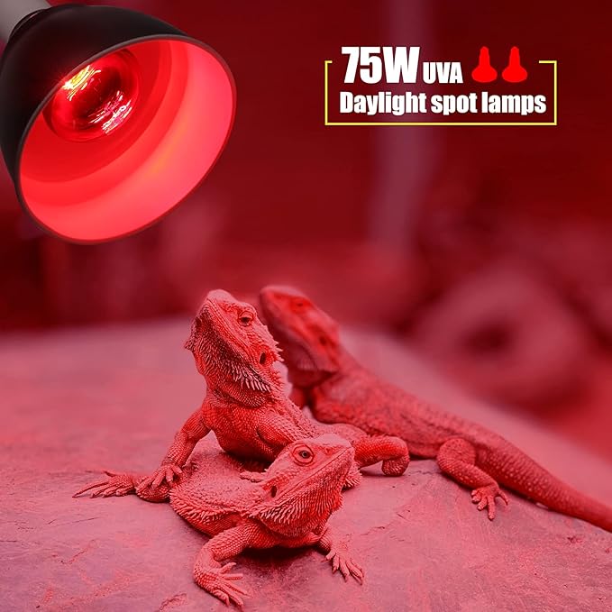 Infrared Heat lamp Basking Spot Light Bulb,LEDESIGN 75 Watt Red Heat Lamp Bulbs for Reptiles and Amphibian Use, 2 Packs (Red) LEDESIGN