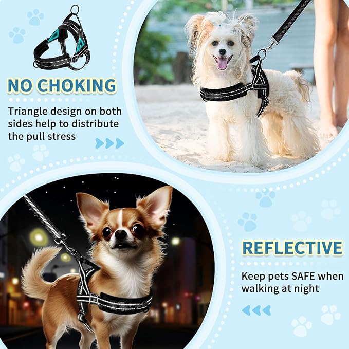 SlowTon No Pull Small Dog Harness and Leash Set, Puppy Soft Vest Harness Neck & Chest Adjustable, Reflective Lightweight Harness & Anti-Twist Pet Lead Combo for Small Medium Dogs (B-Front Clip,XXS) SlowTon
