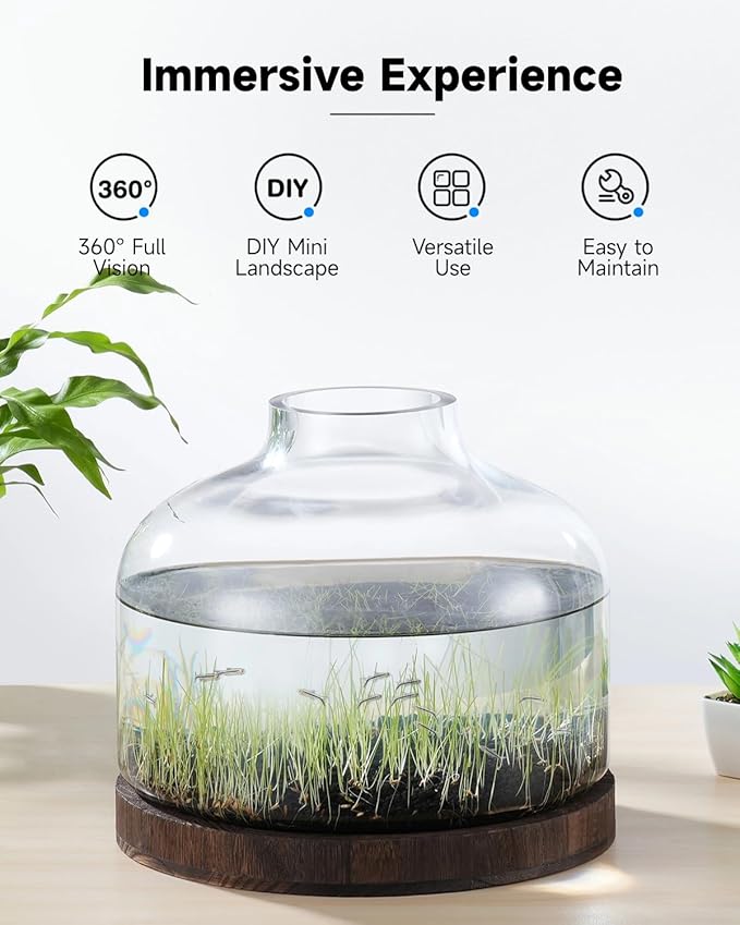 PONDON 2 Gallon Fish Bowl Vase, Featured Aquarium Kit Aquariums Channel, Wooden Base and Water Changer Included PONDON