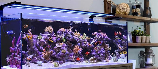 CURRENT USA 72" Inch Orbit Marine IC LOOP LED Saltwater Reef Marine Aquarium Light with Bluetooth App Control | Wireless Lighting & eFlux Wave Pump Control for Fish Tank (4208) Current+USA