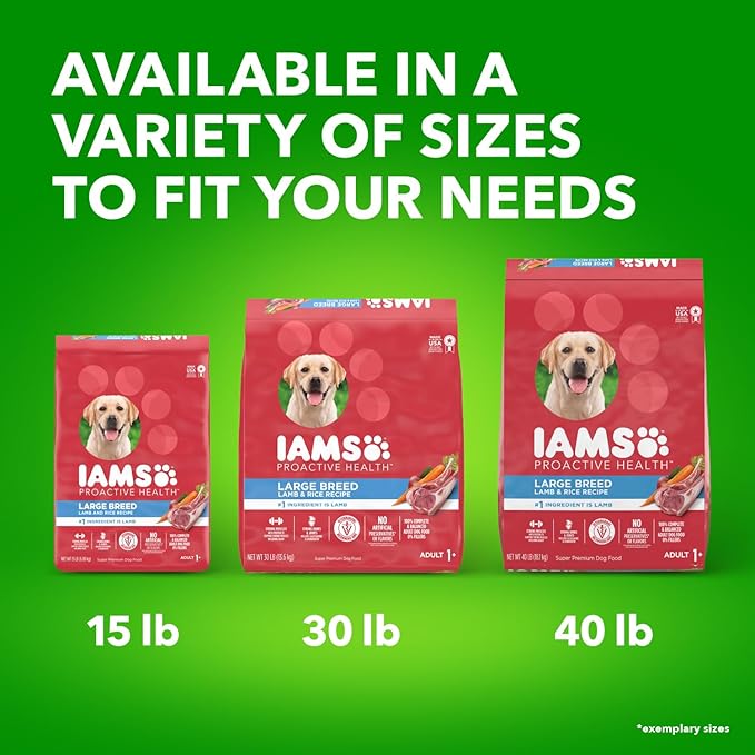 IAMS Large Breed Adult Dry Dog Food Lamb & Rice Recipe, 15 lb. Bag - PAWPICO
