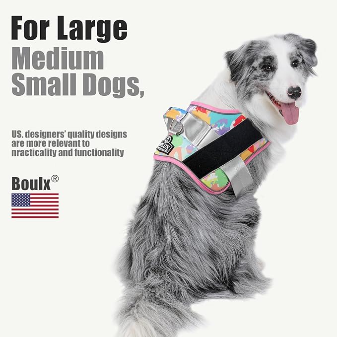 Bolux Dog Harness, No-Pull Reflective Dog Vest, Breathable Adjustable Pet Harness with Handle for Outdoor Walking - No More Pulling, Tugging or Choking (XX-Large (Pack of 1), OilPainting) Bolux