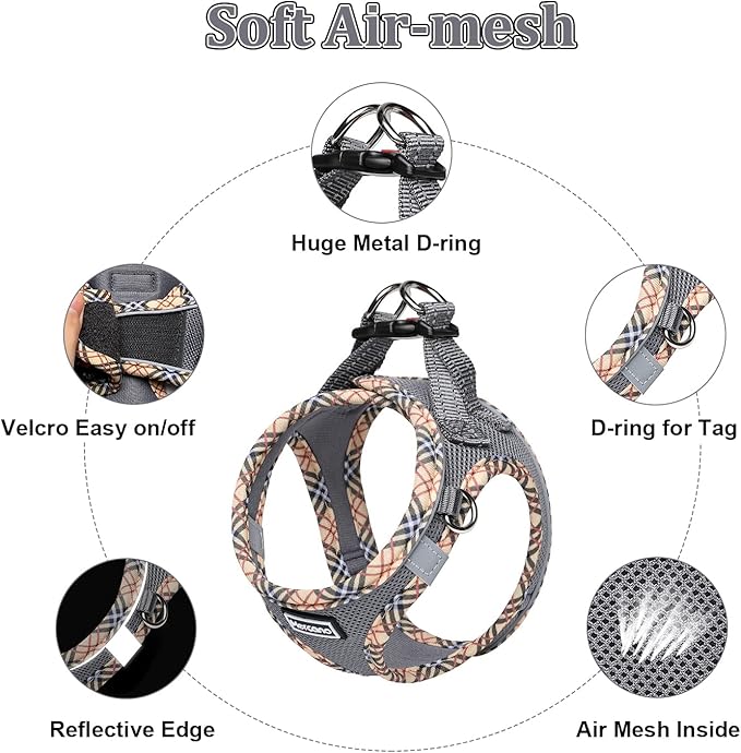 Mercano Soft Mesh Dog Harness and Leash Set, No-Chock Step-in Reflective Breathable Lightweight Easy Walk Escape Proof Vest Harnesses with Safety Buckle for Small Medium Dogs, Cats (Grey, XXS) PAWPICO