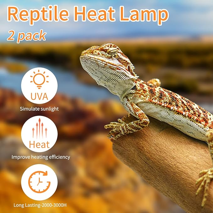 New Upgrade Reptile Heat Lamp Bulb (3rd Gen No Broken), 50W 2 Pack Basking Spot Light for Reptiles & Amphibians,UVA Daylight Heat Bulb for Bearded Dragon, Turtle REPTIHOME