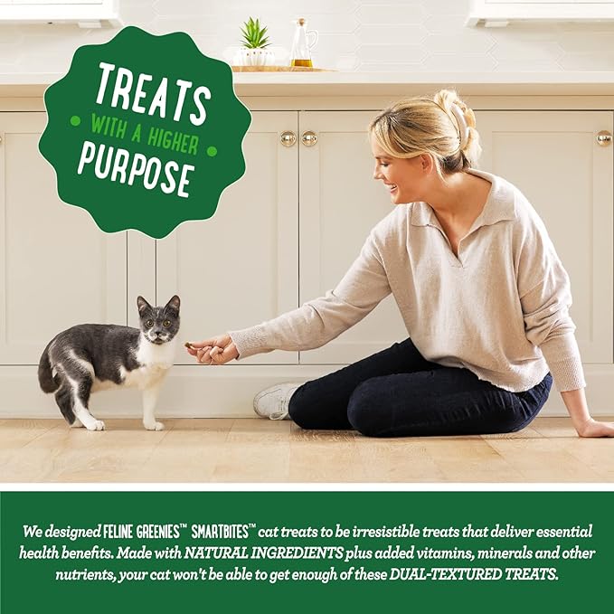 Greenies Feline Smartbites Skin & Fur Crunchy and Soft Natural Cat Treats, Salmon Flavor, 2.1 oz. Pack GREENIES