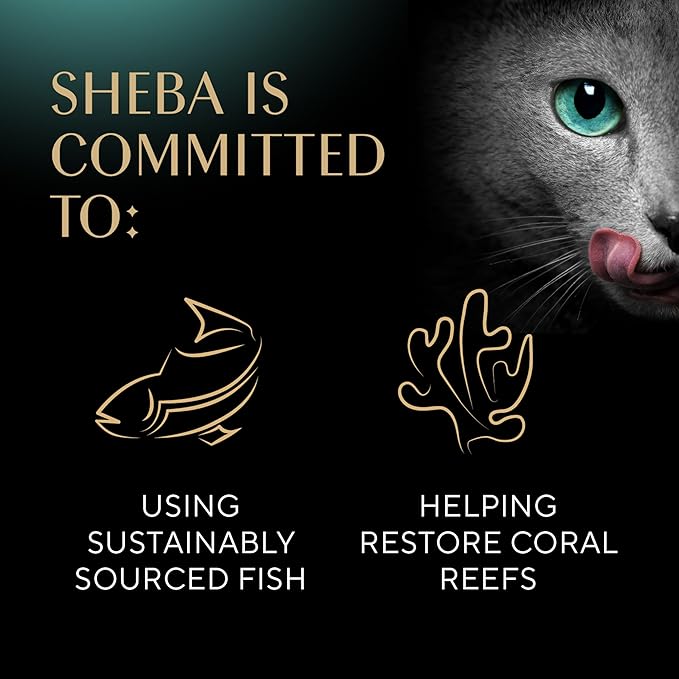 Sheba Perfect Portions Wet Cat Food Pate Savory Chicken Entree and With Sustainable Salmon Variety Pack, 2.6 oz., Twin-Pack Trays (6 Count, 12 Servings) (Pack of 2) - PAWPICO