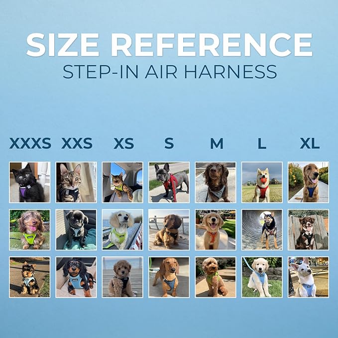 Voyager Step-in Air Dog Harness - All Weather Mesh, Reflective, No Pull Harness for Small, Medium Dogs, Cats - Secure with Hook & Loop Fastener, Buckle, Double D-Rings - Blue/Black Trim, XL BestPetSuppliesLLC