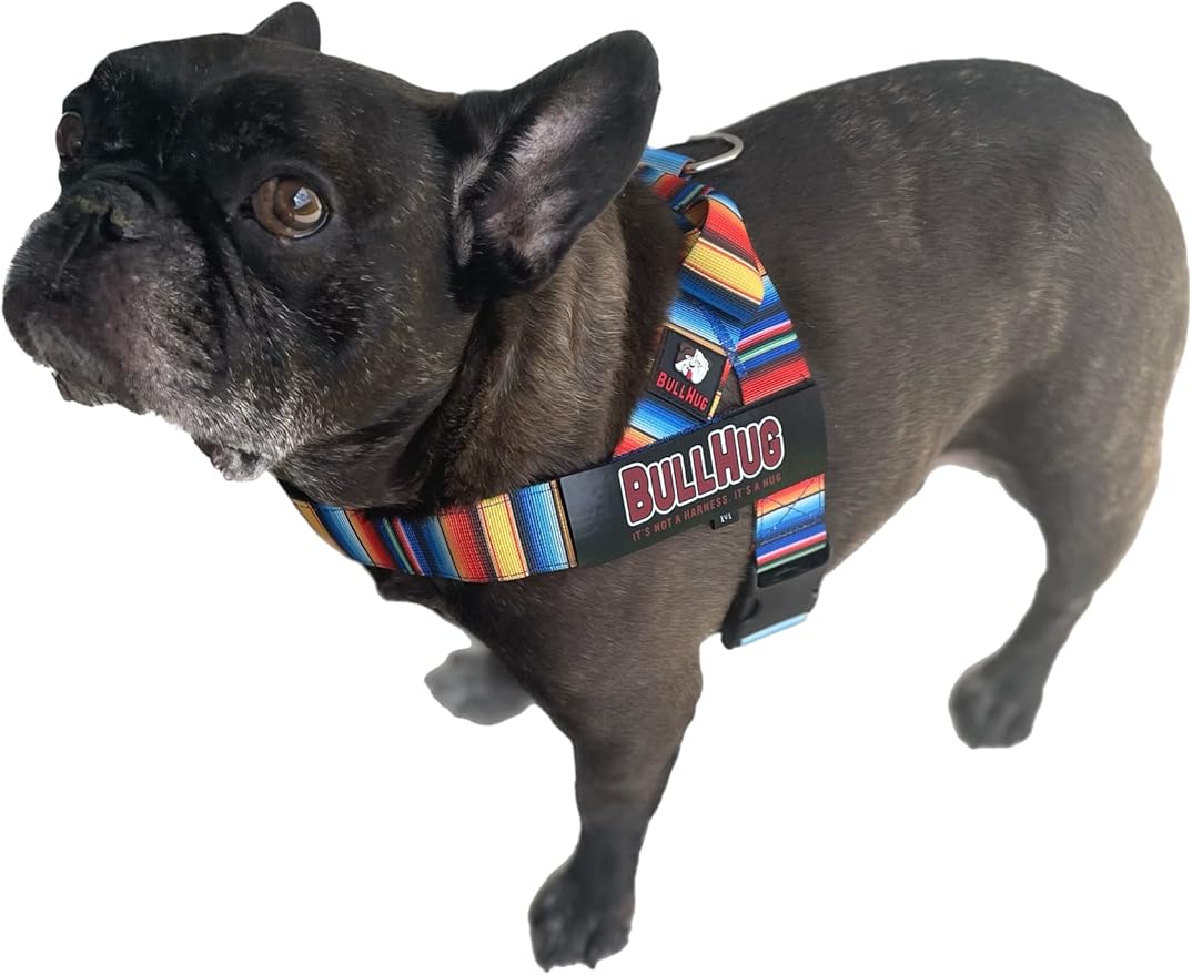 BULLHUG Harness – Made for Larger Chested Dogs Like English Bulldogs, French Bulldogs, Pugs & More. Stops Dogs from Pulling & Choking on Walks (Fiesta, Large) BULLHUG