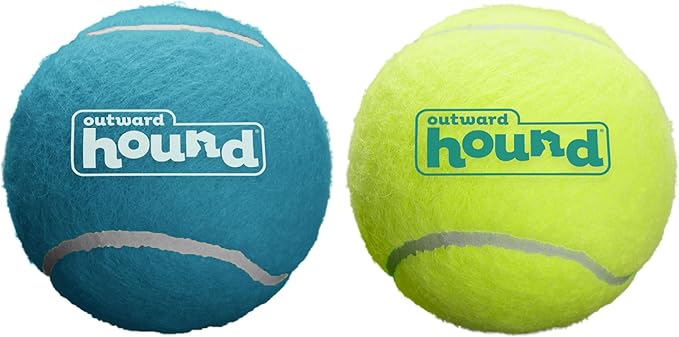 Outward Hound Squeaker Ballz Fetch Dog Toy, Large - 2 Pack - PAWPICO