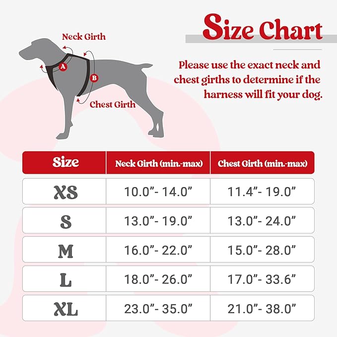 rabbitgoo Dog Harness No Pull with 2 Leash Clips, Adjustable Soft Padded, Reflective Oxford No Choke Pet Vest with Easy Control Handle for Medium Sized Dogs, Red, M rabbitgoo
