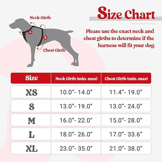 rabbitgoo Dog Harness No Pull with 2 Leash Clips, Adjustable Soft Padded, Reflective Oxford No Choke Pet Vest with Easy Control Handle for Puppy, Red,XS rabbitgoo