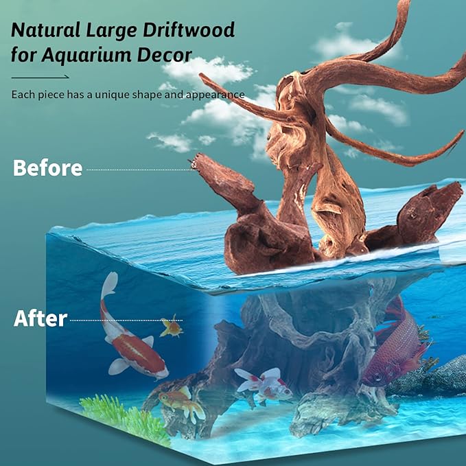 Hamiledyi 2 Pcs Large Driftwood for Aquarium Reptile Toy Driftwood Branches Reptiles Aquarium Decoration Assorted Size Natural Habitat Decor Wood for Lizad Hamiledyi