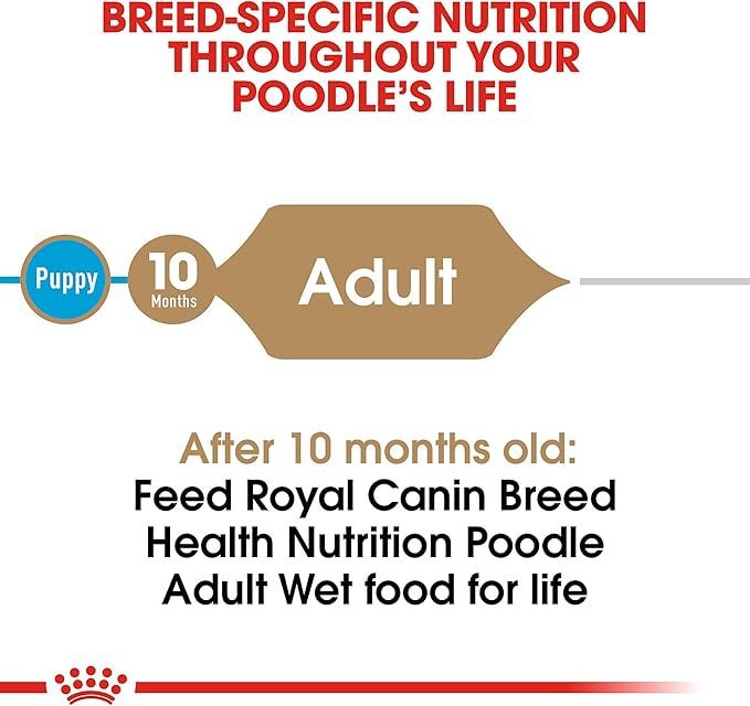 Royal Canin Poodle Adult Breed Specific Wet Dog Food, 3 oz can 4-pack - PAWPICO