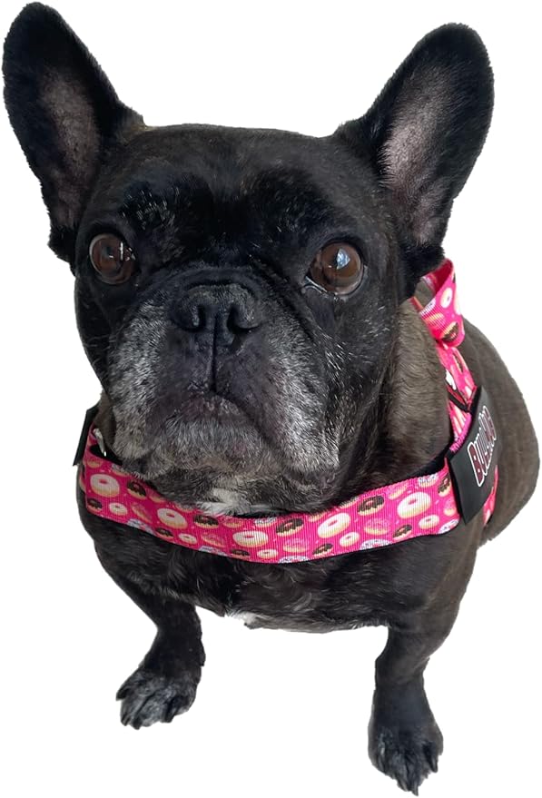 BULLHUG Harness – Made for Larger Chested Dogs Like English Bulldogs, French Bulldogs, Pugs & More. Stops Dogs from Pulling & Choking on Walks (Donuts, XL) BULLHUG