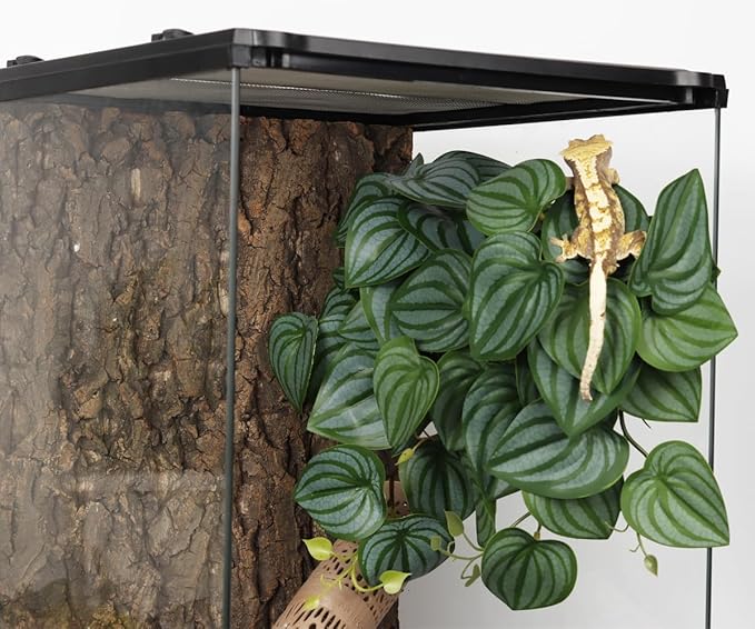 Reptile Plants for Terrarium, Amphibian Habitat Decor Artificial Hanging Plants with Suction Cup - Fake Calathea Orbifolia WOLEDOE