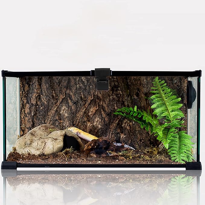 4pcs terrarium cover clips Terrarium Screen Cover Clip Fresh Air Non- Locking Screen Clips - escape Feeding Tank Latch for Glass Turtle Terrarium reptile terrarium cover Parts aquarium cover clips NUOBESTY