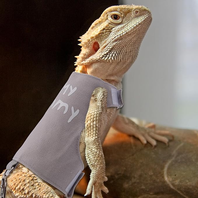 Bearded Dragon Leash and Harness Set, Cute Adjustable Lizard Reptile Harness Costume Clothes with Short Leash for Small Pets Animal Amphibians Chameleons Accessories Outdoor Walking (Style A, Gray) PAWPICO