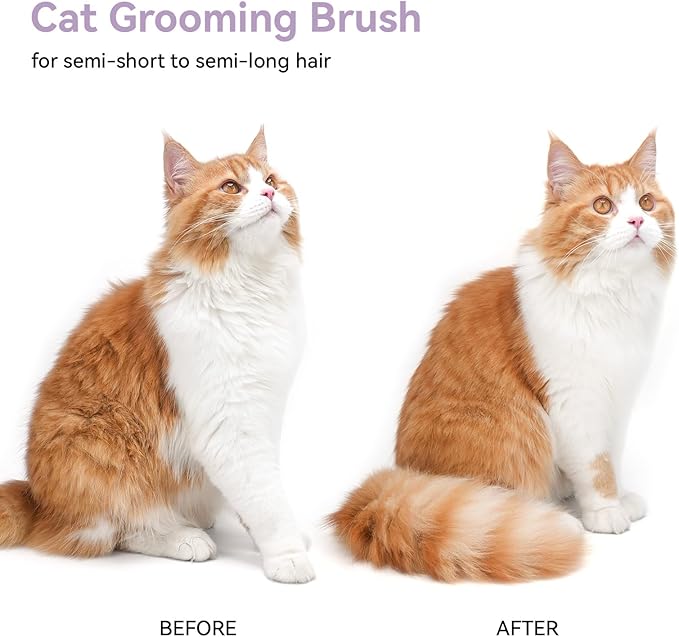 aumuca Cat and Dog Grooming Brush for Shedding, Removes Loose Fur from Long or Short Haired Pets - Ideal for Cats, Kittens, Rabbits, and More - Purple - PAWPICO