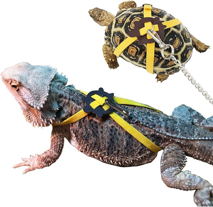 Vehomy Turtle leash Lizard Leash Tortoise Harness Strap Pet Collar Leash Tortoise Walking Lead Control Rope S Vehomy