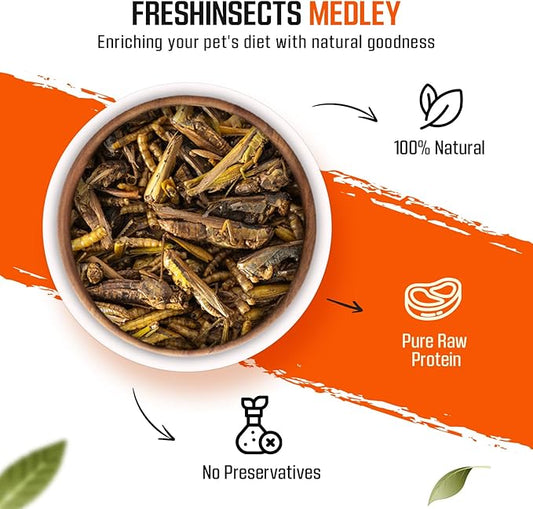 Medley Treat Bearded Dragon Food - Freeze Dried Mealworms, Grasshoppers, Crickets, Quality Tested, Vitamin & Calcium Enriched, Essential Proteins, Fats & Minerals - for Bearded Dragons, Reptiles 6 oz Freshinsects