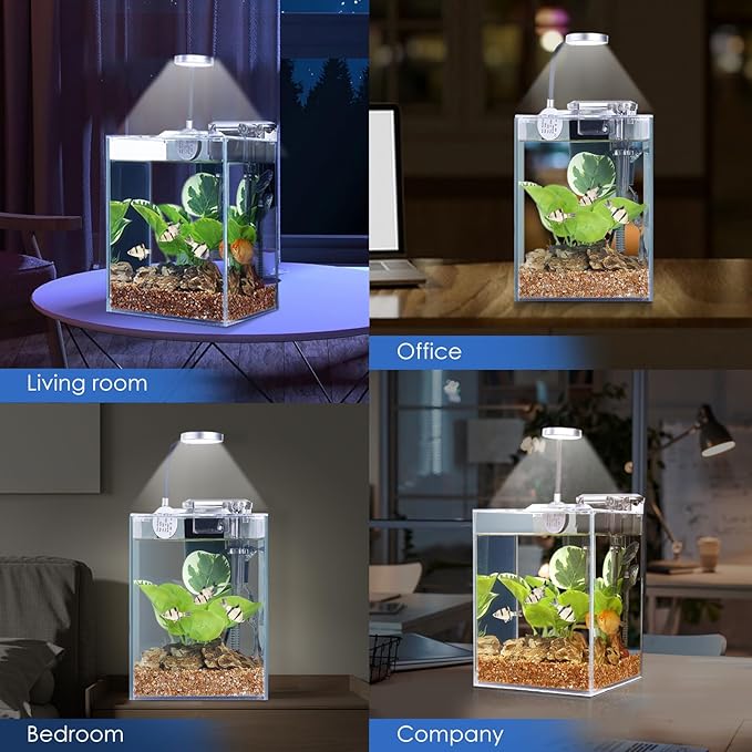 1.5 Gallon Aquarium Betta Fish Tank Starter Kit, Self Cleaning Filter HD Float Glass Small Fish Bowl Light Rocks Gravel Plants Cleaning Tool Set, Beginner's Gift for Snails, Guppy, Shrimp WONDERFACTORY