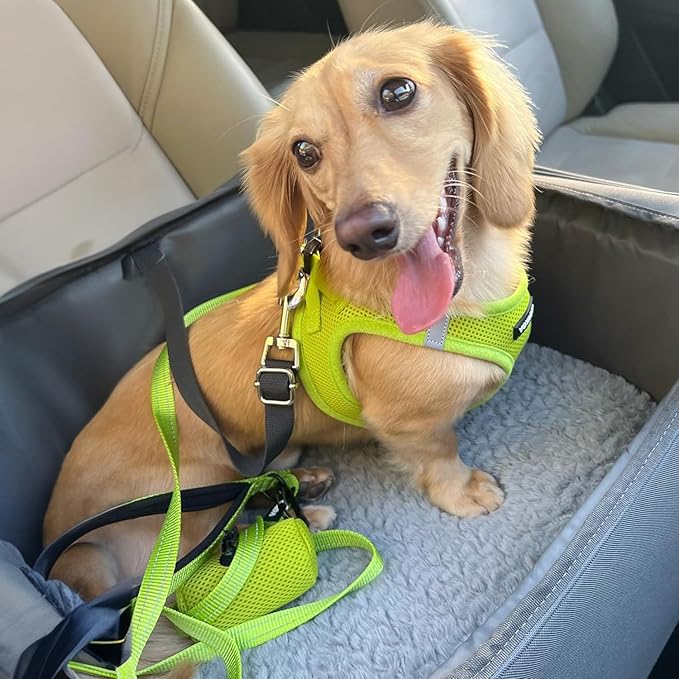 Voyager Step-in Air Dog Harness - All Weather Mesh, Reflective, No Pull Harness for Small, Medium Dogs, Cats - Secure with Hook & Loop Fastener, Buckle, Double D-Rings - Lime Green, XXXS BestPetSuppliesLLC