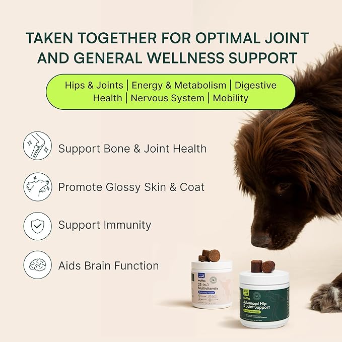 Wuffes 23-in-1 Chewable Dog Multivitamin&Supplements Bundle - Dog Multivitamin for Small&Large Breed - 2 Pack - 60 Count Wuffes
