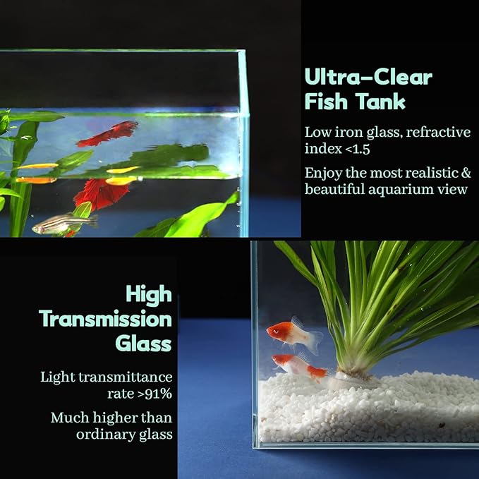 10 Gallon Ultra Clear Glass Fish Tank, Rimless Low Iron Aquarium for Betta/Nano/Goldfish/Snail/Shrimp, Big Fish Tank & Cover Set & Feeding Ring & Cleaning Tools LAQUAL