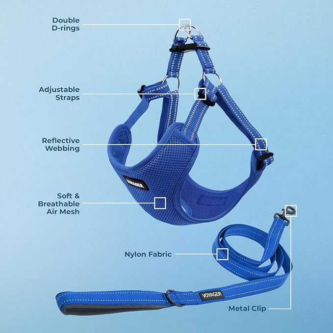 Best Pet Supplies Voyager Adjustable Dog Harness Leash Set with Reflective Stripes for Walking Heavy-Duty Full Body No Pull Vest with Leash D-Ring, Breathable All-Weather - Harness (Royal Blue), S BestPetSuppliesLLC