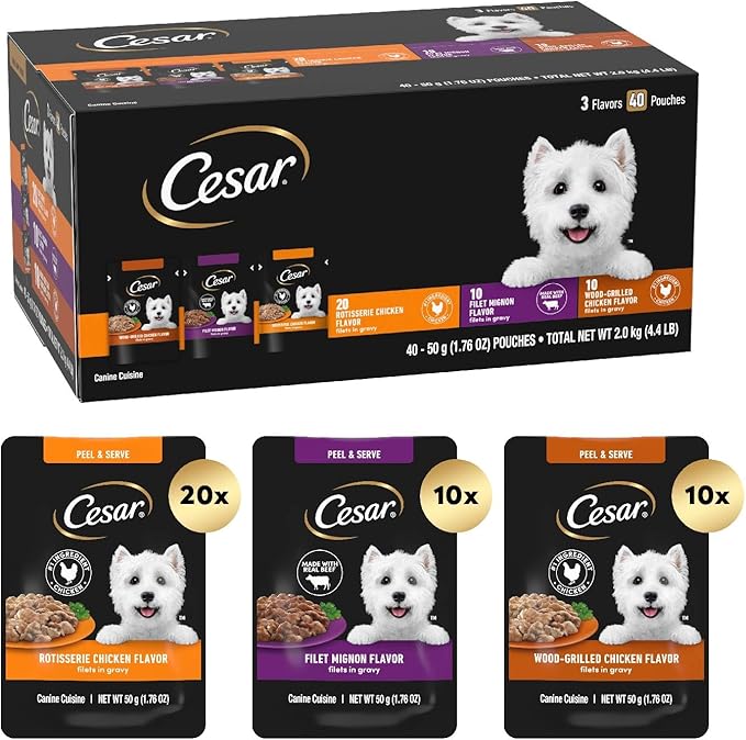 Cesar Wet Dog Food 40 Count Multipack - PAWPICO