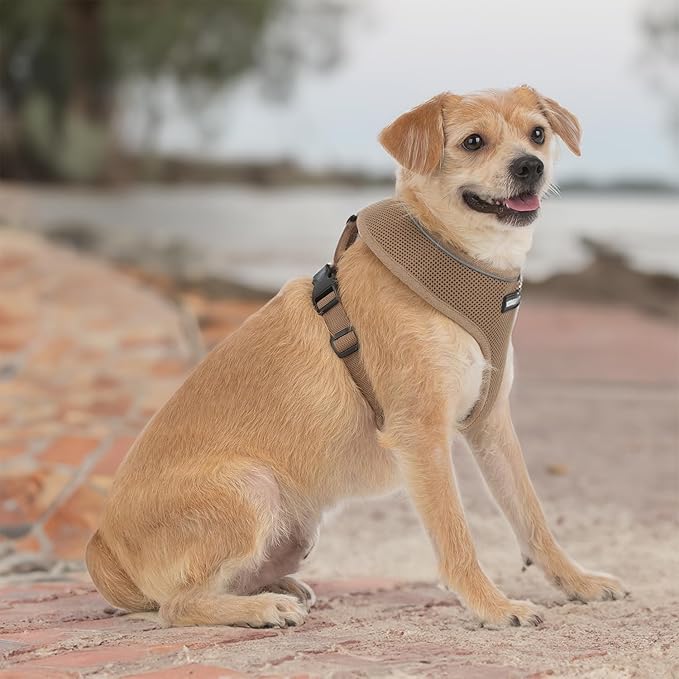 Voyager Aerolite No Pull Mesh Dog Harness with Lightweight, Soft, Breathable, Reflective Stitching, and Adjustable Straps for Walking, Running, Training, Heavy Duty and Durable - Beige, XS BestPetSuppliesLLC
