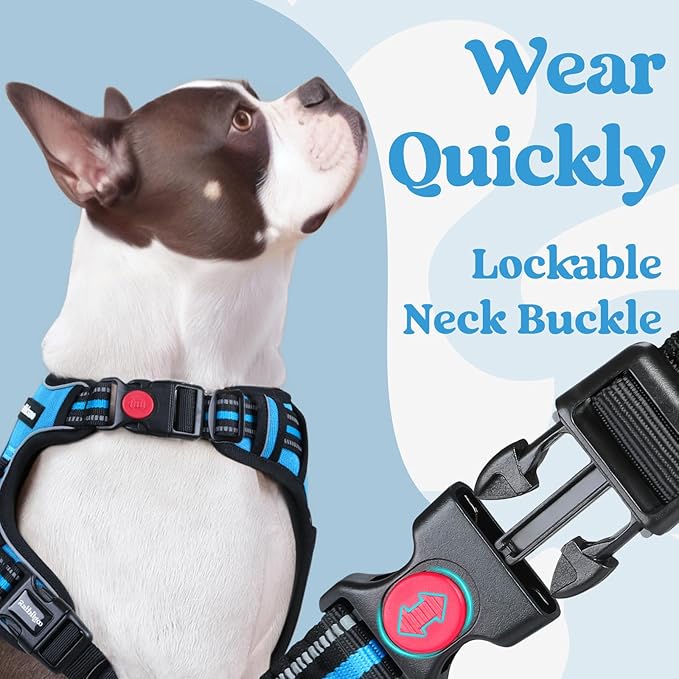rabbitgoo Dog Harness for Large, No Pull Pet Harness with 3 Buckles, Adjustable Soft Padded Pooch Vest with Instant Control Handle, Easy Walking Reflective Pet Vest for Extra Large Dogs, Sky Blue, XL rabbitgoo