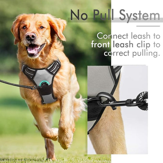 rabbitgoo Dog Harness, No-Pull Pet Harness with 2 Leash Clips, Adjustable Soft Padded Dog Vest, Reflective No-Choke Pet Oxford Vest with Easy Control Handle for Large Dogs, Grey, XL - PAWPICO