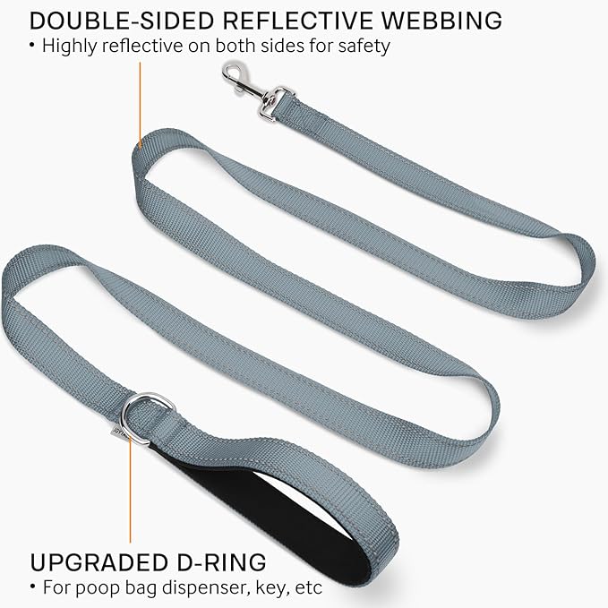 Joytale Double-Sided Reflective Dog Leash, 6 FT/5 FT/4 FT, Padded Handle Nylon Heavy Duty Leashes for Small & Medium Dogs Walking, Gary, 6FT Joytale