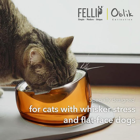Felli Pet Oblik Anti Whisker Fatigue & Regurgitation Raised Cat Food Water Bowl, Tilted Stainless Steel Shallow Dish Dishwasher Easy Clean, Elevated Dry Wet Metal Feeder Slanted Plate (0.5Cups, Gold) - PAWPICO