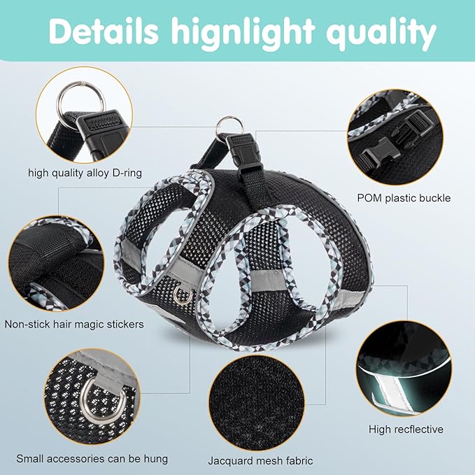 Dog Harness and Leash Set, No Pull Pet Harness for Small Dogs Easy Walking,Soft Breathable Small Dog Harness,Adjustable Reflective Step in Vest Harness for Puppy,Kitten, Cats TomteNisse