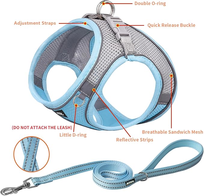 AIITLE Small Harness for Puppy with A Leash - Spring Dog Vest Harness with Super Breathable Mesh, Reflective No-Pull Pet Harness for Outdoor Walking, Camping for Small Dogs, Cats Blue XXS AIITLE-FORPETSBETTERLIFE