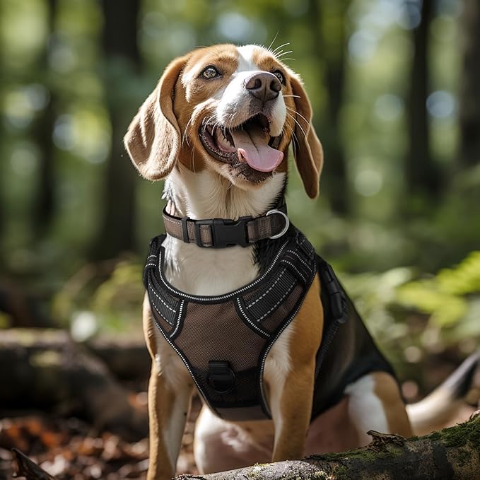 Joytale Reflective Dog Collar,Soft Neoprene Padded Nylon Pet Collar Adjustable for Medium Dogs,Brown,Medium - PAWPICO